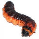 Sticker chenille marron