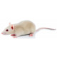 Sticker souris blanche