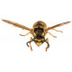 Sticker guepe