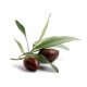 Sticker olives noires avec feuilles