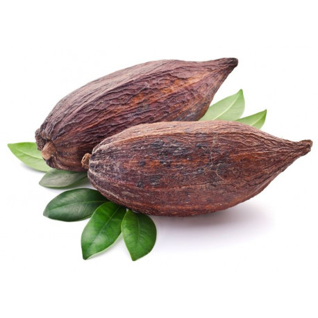 Sticker chocolat cacao