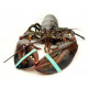 Sticker homard bleu profil