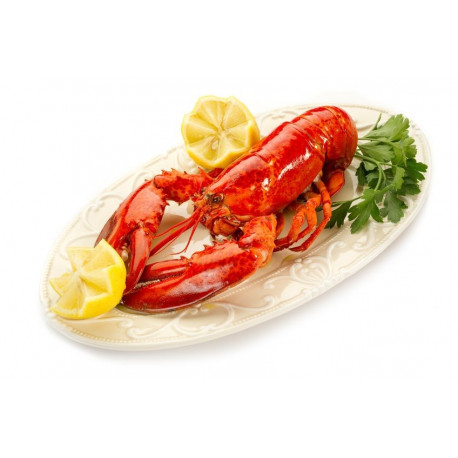 Sticker homard dans assiette