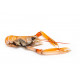 Sticker langoustine