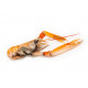 Sticker langoustine
