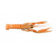Sticker langoustine