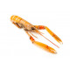 Sticker langoustine