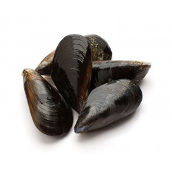 Sticker moules dans un bol