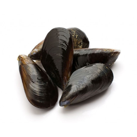 Sticker moules dans un bol