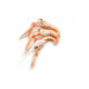 Sticker langoustines