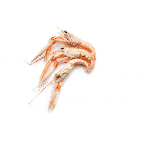 Sticker langoustines
