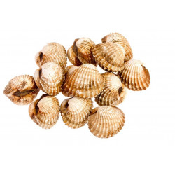 Sticker langoustines