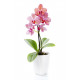 Sticker plantes fleur en pot