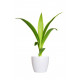 Autocollant mural plante verte