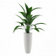 Sticker grande plantes verte