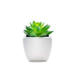 Sticker petite plante en pot