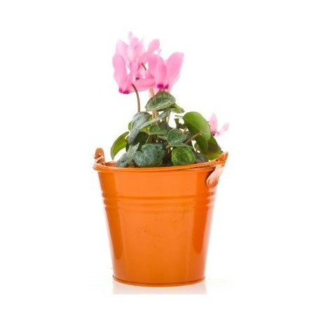 Sticker fleur en pot