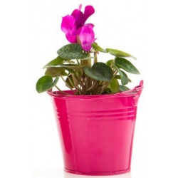Sticker fleur en pot rose