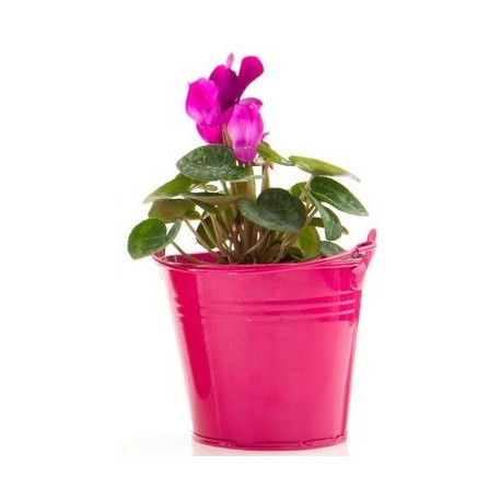 Sticker fleur en pot rose