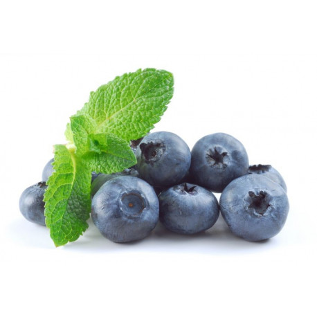 Sticker mural groseille