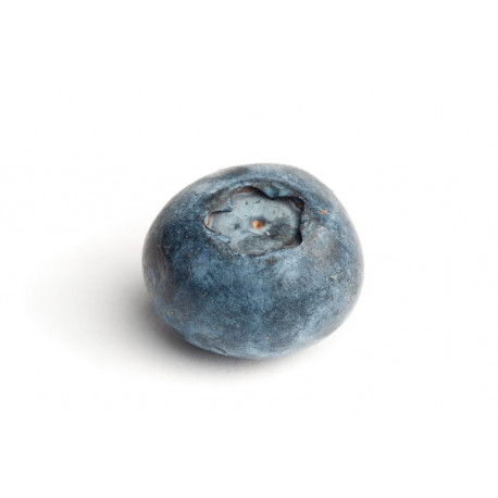 Autocollant groseille