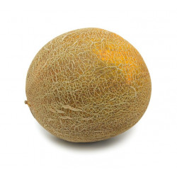 Sticker melon deco cuisine