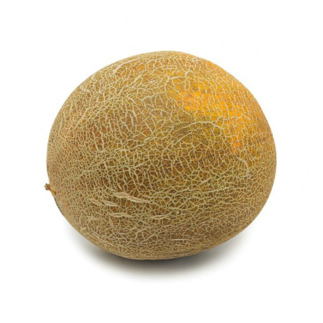 Sticker melon deco cuisine