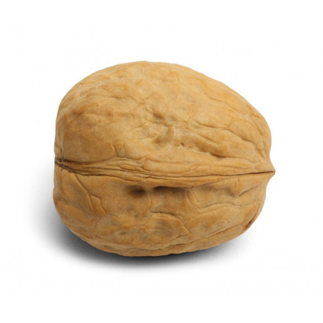 Autocollant mural noix