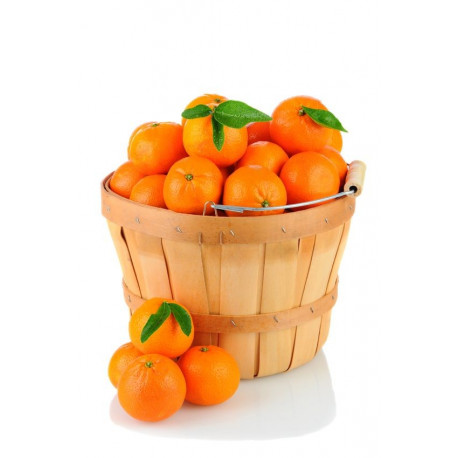 Sticker clémentine dans un pot