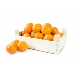 Sticker clémentine barquette