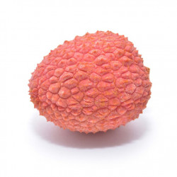 Sticker mural litchi