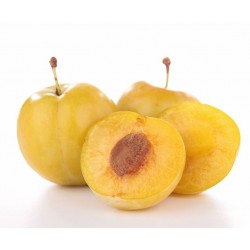 Autocollant mirabelle