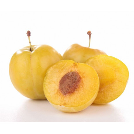 Autocollant mirabelle