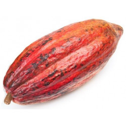 Autocollant cacao