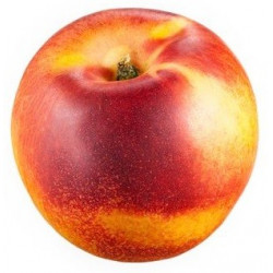 Autocollant nectarine et peche