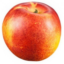 Sticker mural nectarine et peche