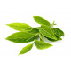 Sticker tisane