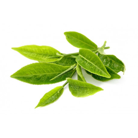 Sticker tisane