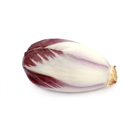 Sticker endive rouge