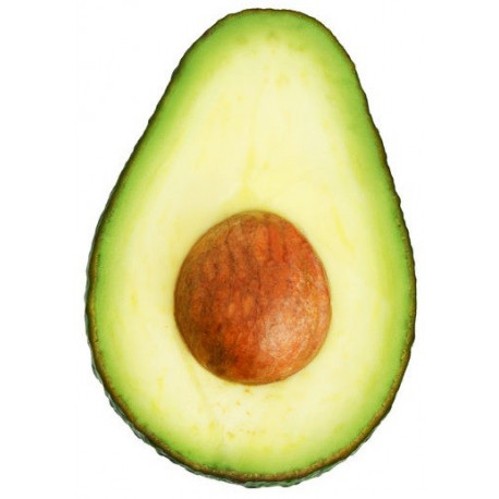 Sticker avocat murale