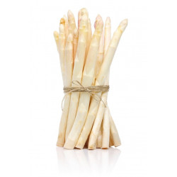 Sticker asperge blanche