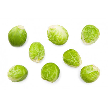 Sticker choux bruxelle