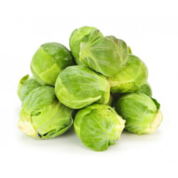 Sticker mural choux bruxelle