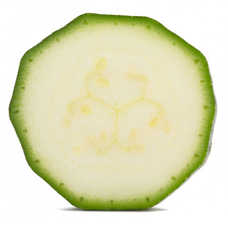 Sticker courgette en rondelle