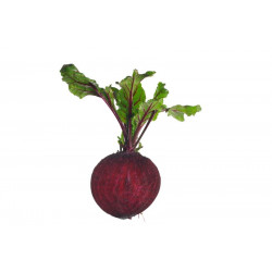 Sticker betterave deco cuisine