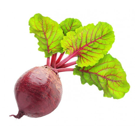 Sticker betterave avec feuillage