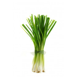 Sticker mural poireau