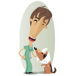 Sticker Vétérinaire homme chien minerve