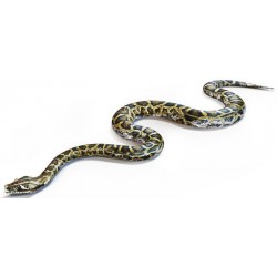 Sticker Serpent tache marron jaune