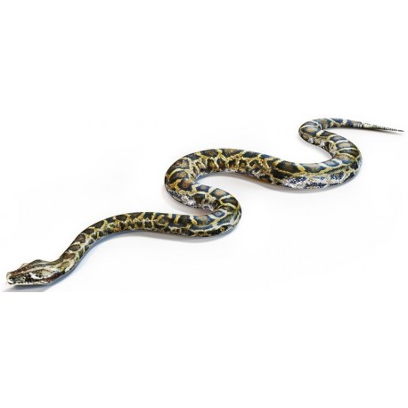 Sticker Serpent tache marron jaune